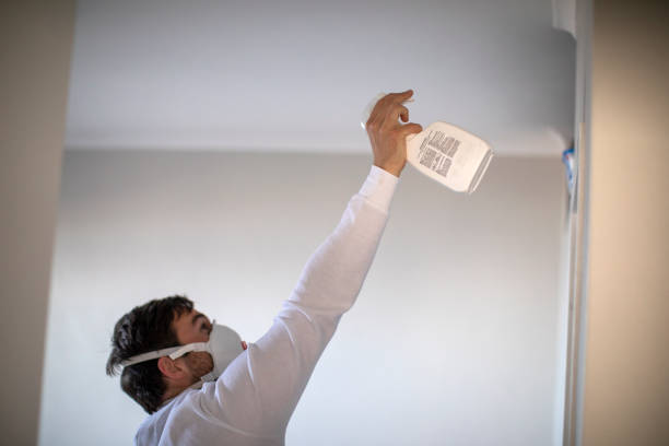 Best Residential Mold Remediation in Perham, MN