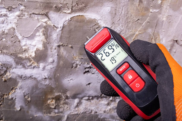 Best Bathroom Mold Remediation in Perham, MN